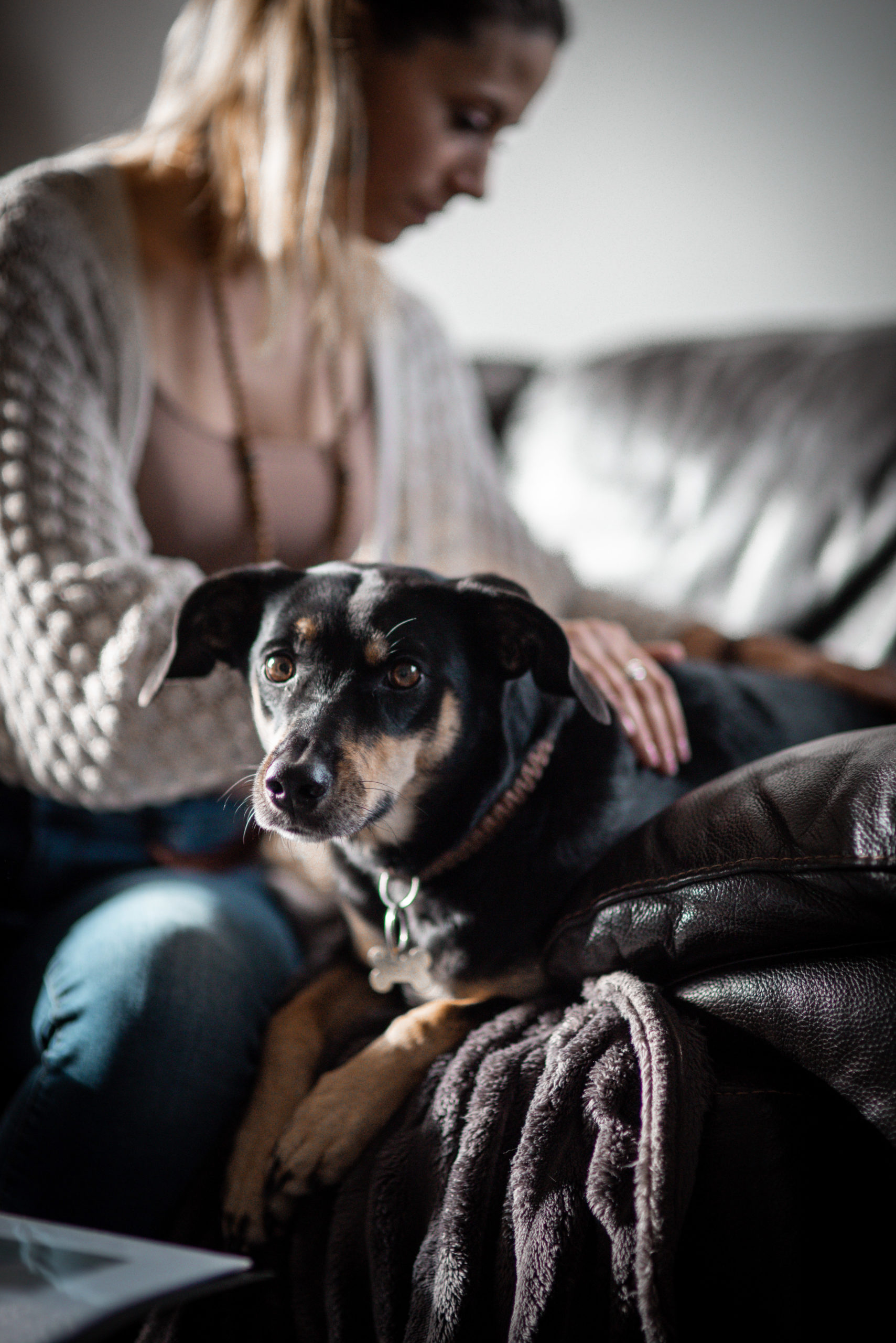 Séance de kinésiologie sur un chien à domicile, Genève