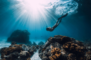 Formation Freediver PADI Emyana Kinésiologie